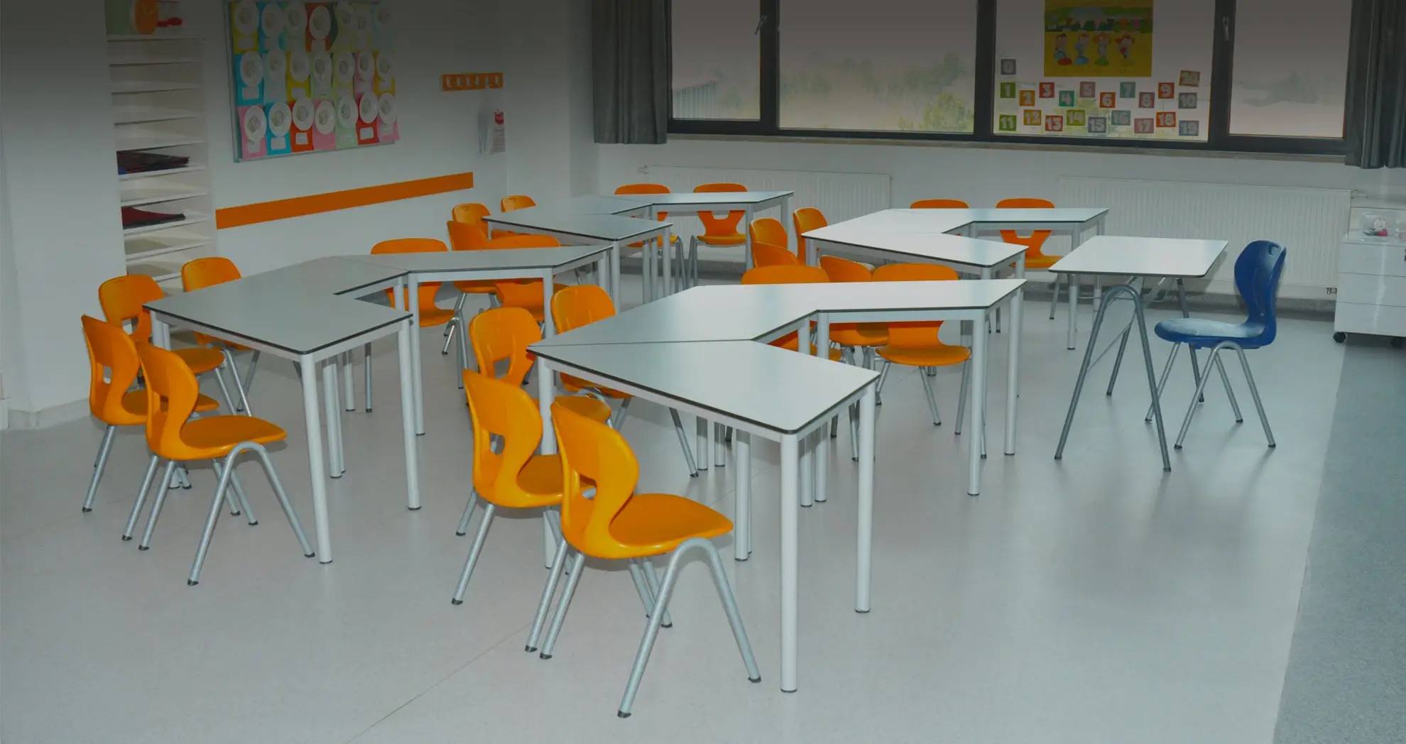 Penguen Okul Sırası