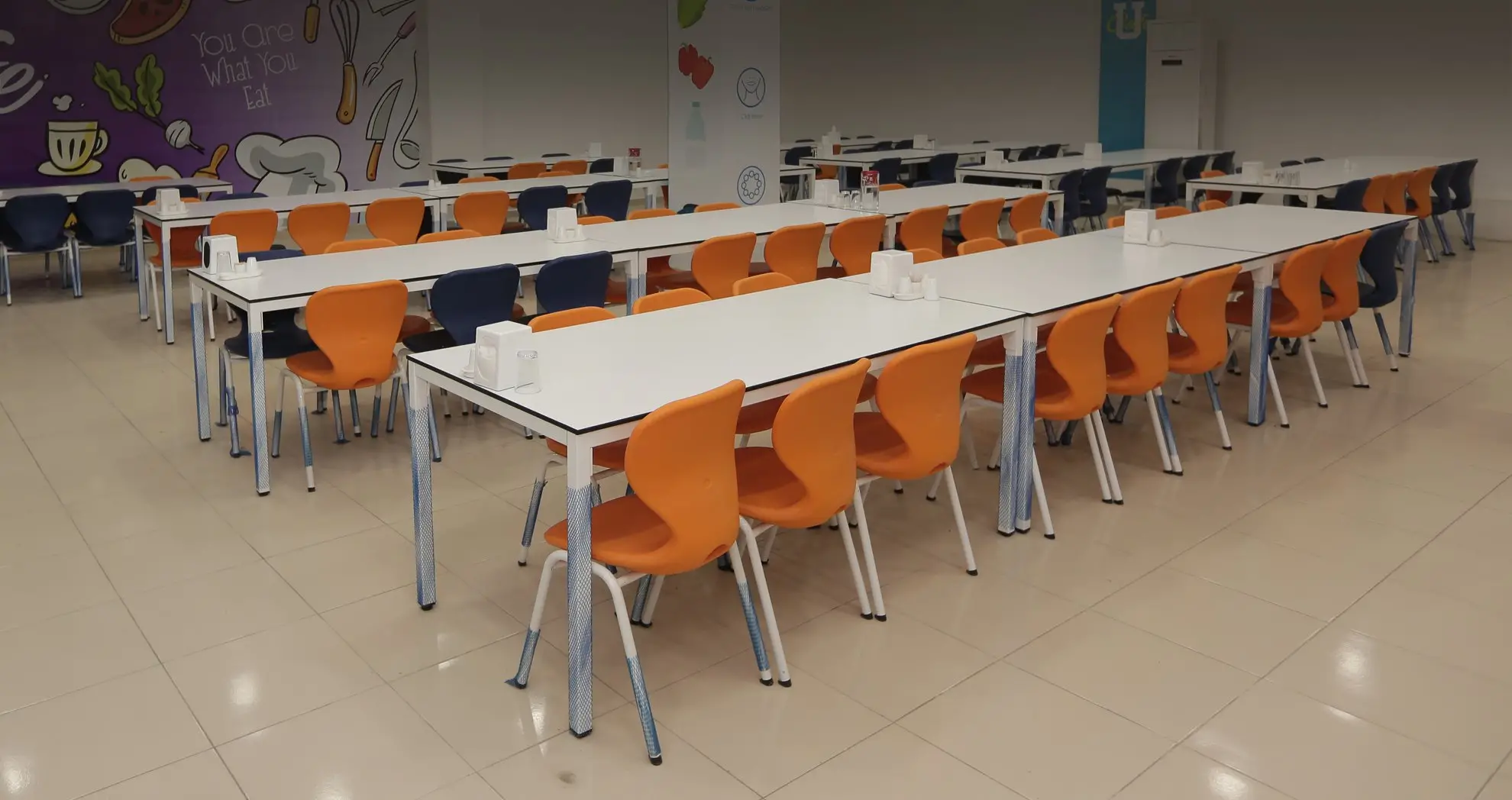 Penguen Okul Sırası