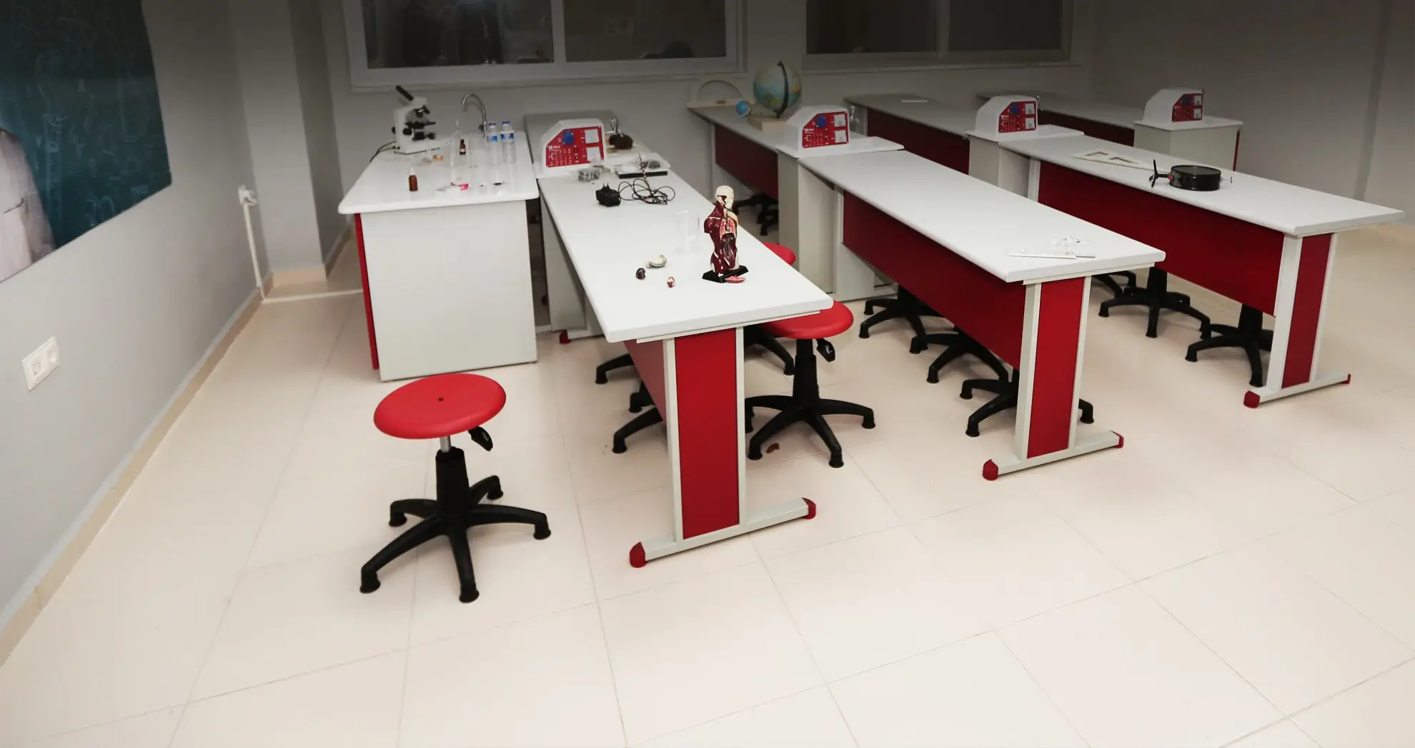 Penguen Okul Sırası