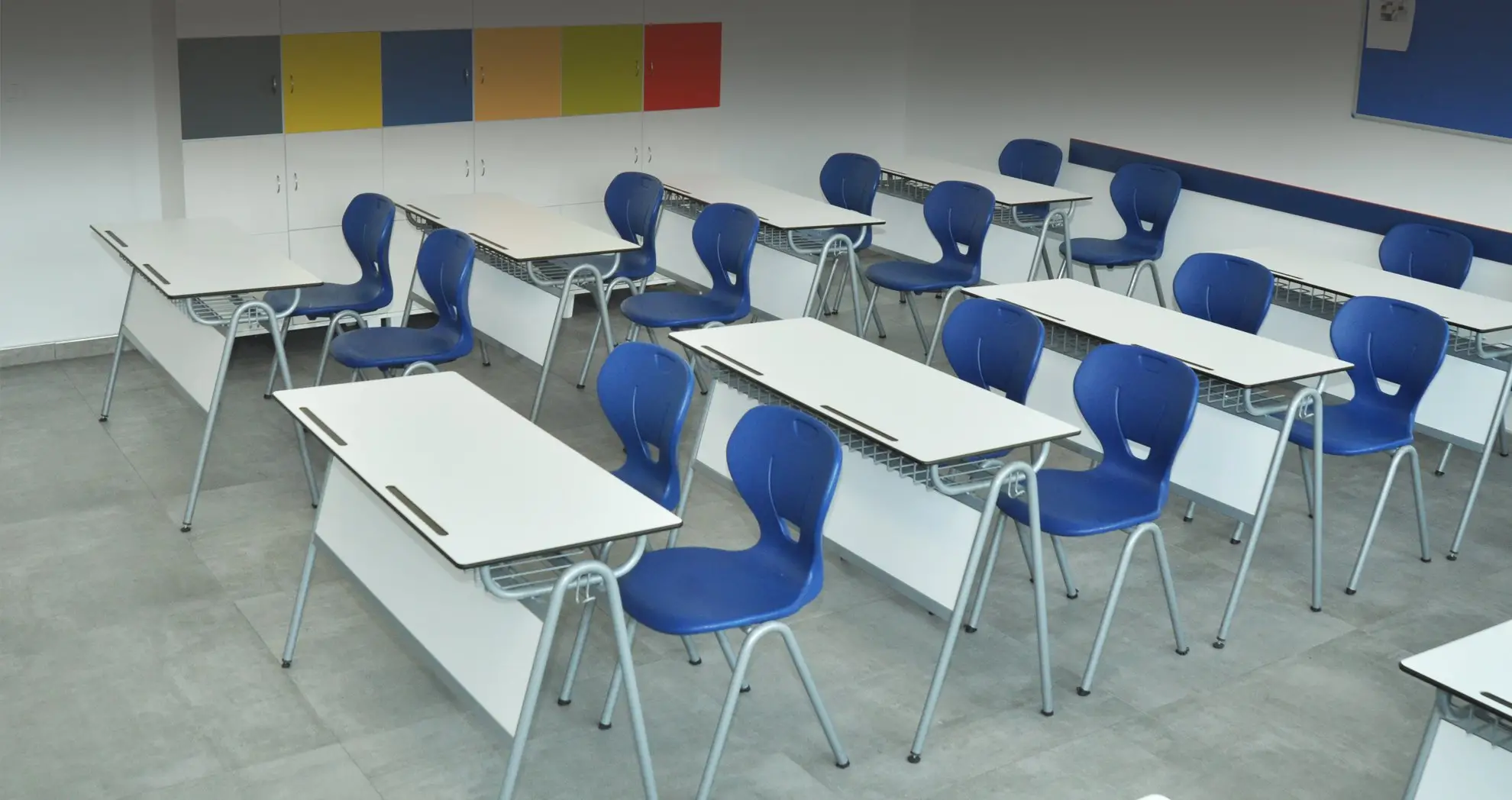 Penguen Okul Sırası