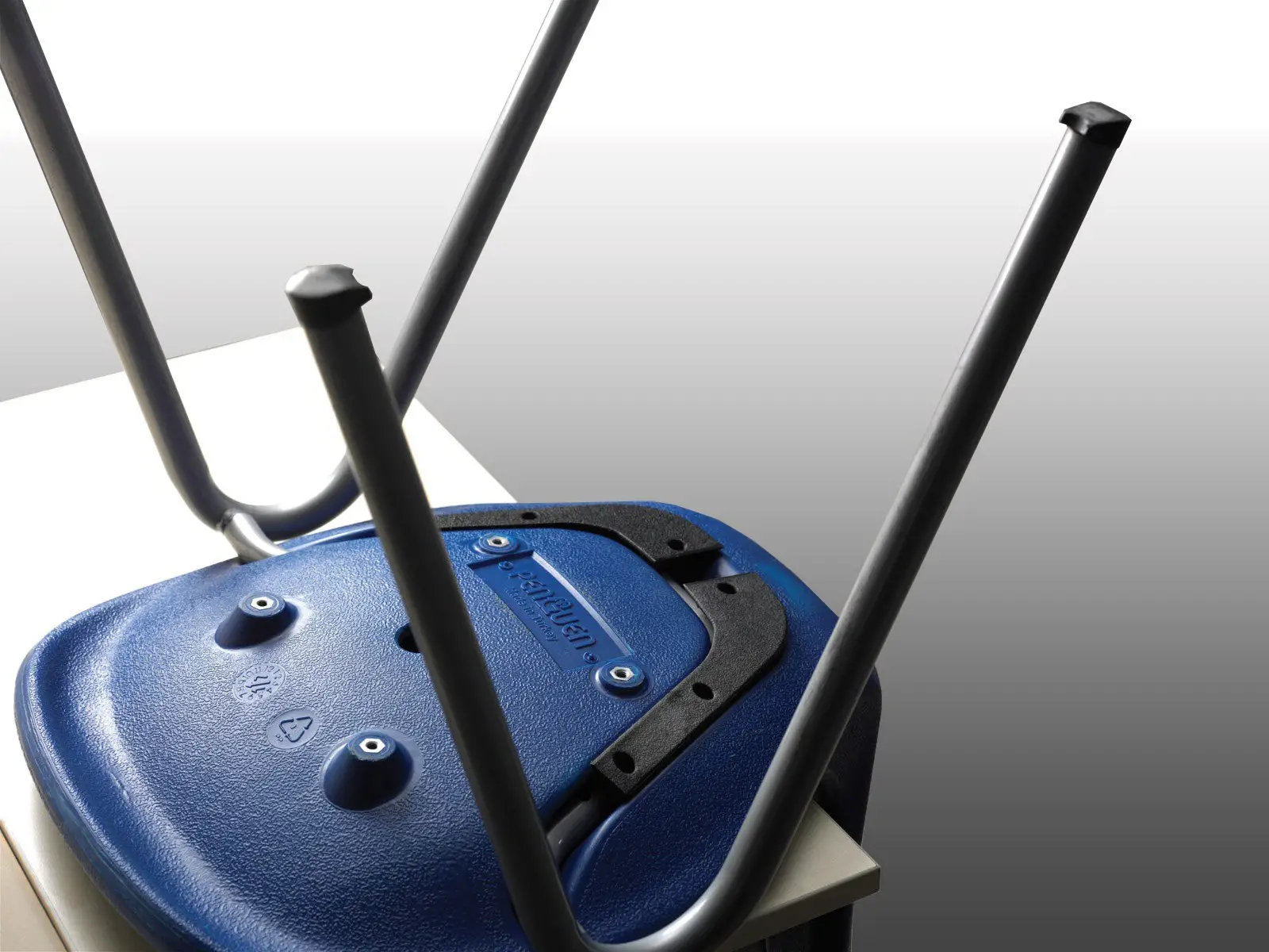 Penguen Okul Sırası