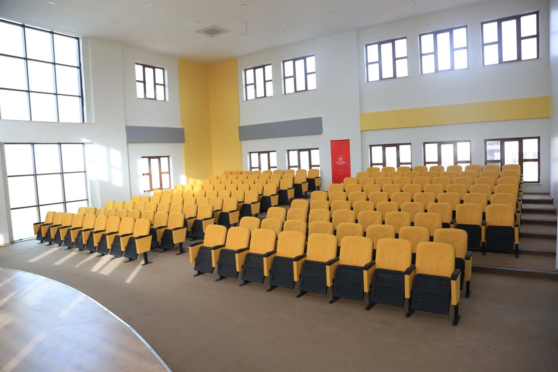 Penguen Okul Sırası