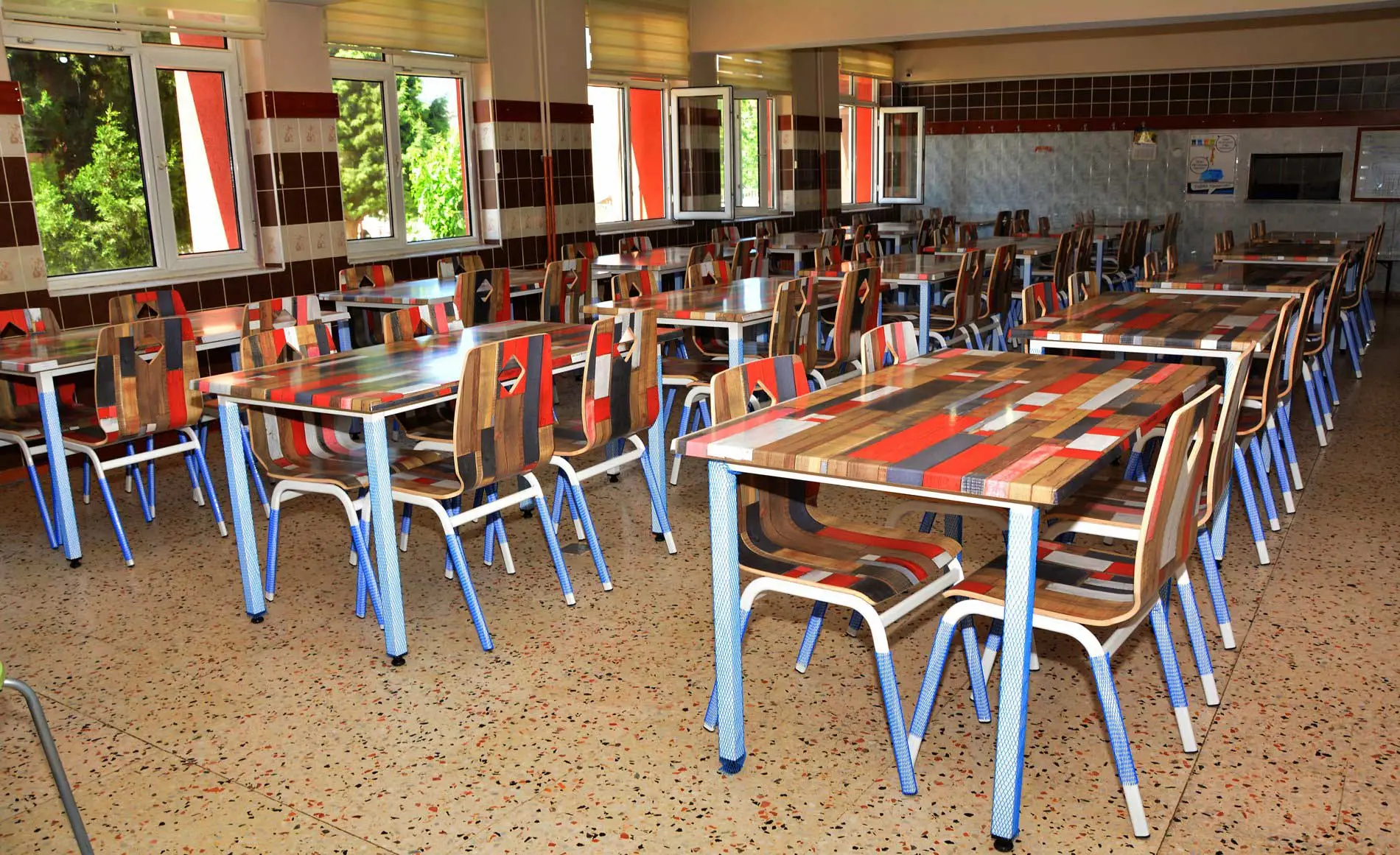 Penguen Okul Sırası