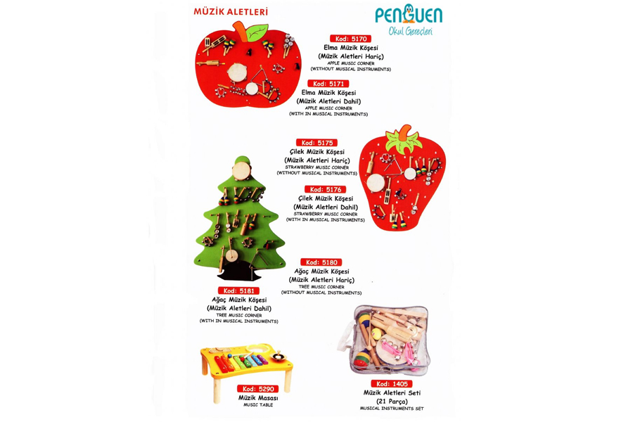 MÜZİK ALETLERİ